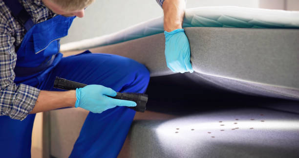 Flea Control Services in Westwego, LA