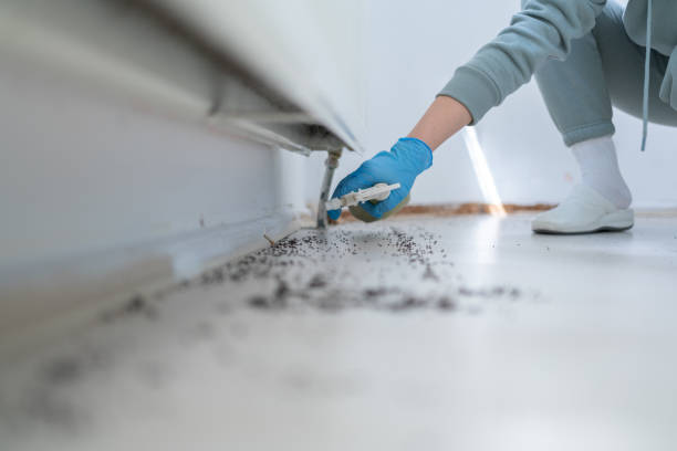 Best Cockroach Control Services  in Westwego, LA